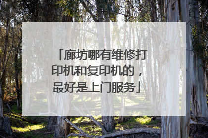 廊坊哪有维修打印机和复印机的,最好是上门服务