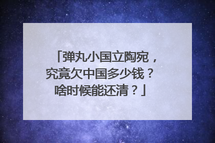 弹丸小国立陶宛，究竟欠中国多少钱？啥时候能还清？