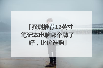 强烈推荐12英寸笔记本电脑哪个牌子好,比价选购
