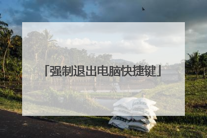 强制退出电脑快捷键