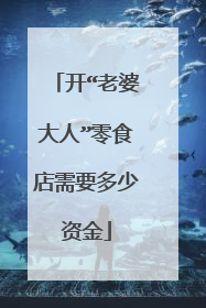 开“老婆大人”零食店需要多少资金