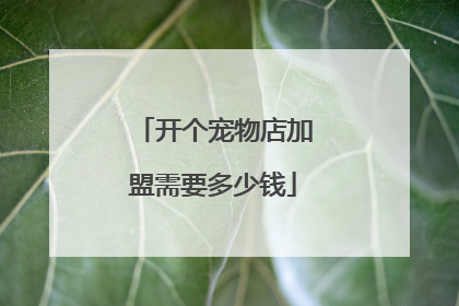 开个宠物店加盟需要多少钱