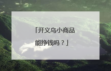 开义乌小商品能挣钱吗？