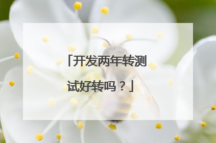开发两年转测试好转吗?