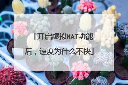 开启虚拟NAT功能后,速度为什么不快
