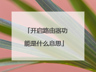 开启路由器功能是什么意思