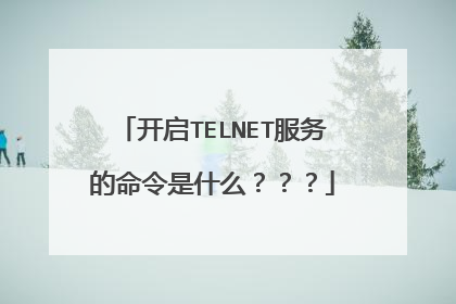 开启TELNET服务的命令是什么？？？