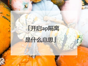 开启ap隔离是什么意思