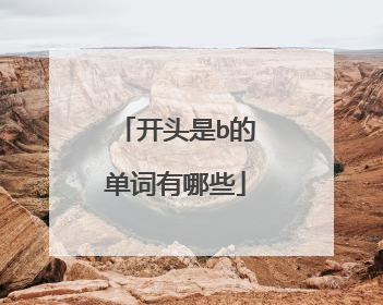 开头是b的单词有哪些