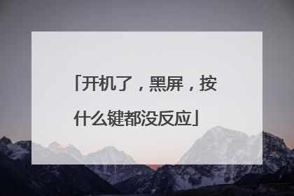 开机了,黑屏,按什么键都没反应
