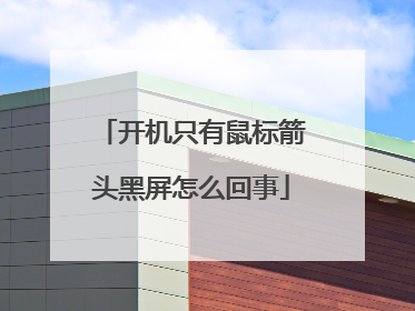 开机只有鼠标箭头黑屏怎么回事