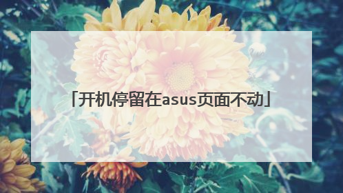 开机停留在asus页面不动