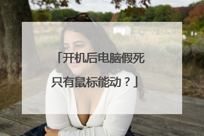 开机后电脑假死只有鼠标能动?