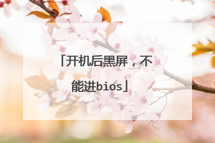 开机后黑屏,不能进bios