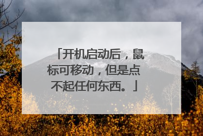 开机启动后，鼠标可移动，但是点不起任何东西。