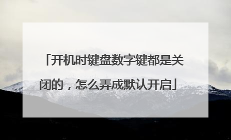 开机时键盘数字键都是关闭的,怎么弄成默认开启