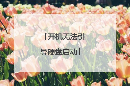 开机无法引导硬盘启动