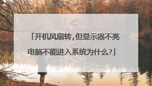 开机风扇转,但显示器不亮电脑不能进入系统为什么?