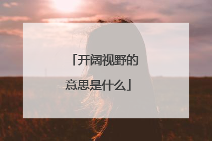 开阔视野的意思是什么