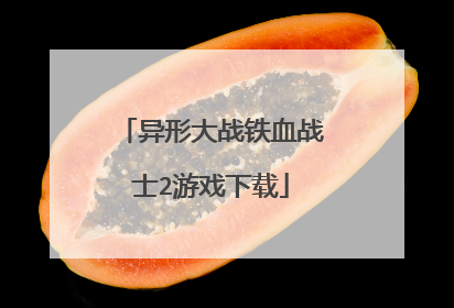 异形大战铁血战士2游戏下载
