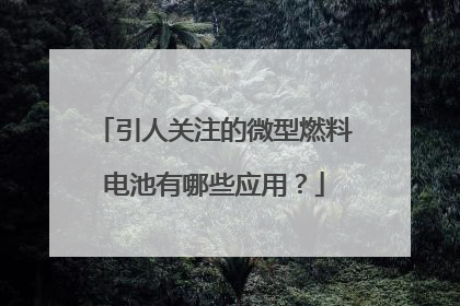 引人关注的微型燃料电池有哪些应用?