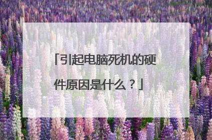 引起电脑死机的硬件原因是什么?