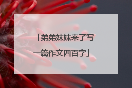 弟弟妹妹来了写一篇作文四百字