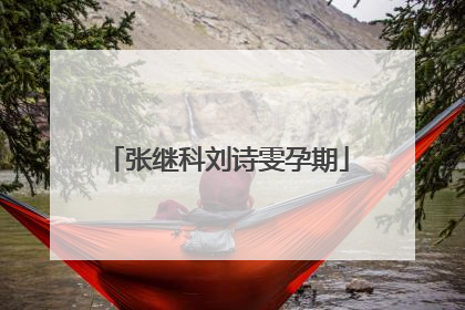 张继科刘诗雯孕期