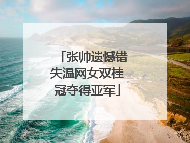 张帅遗憾错失温网女双桂冠夺得亚军