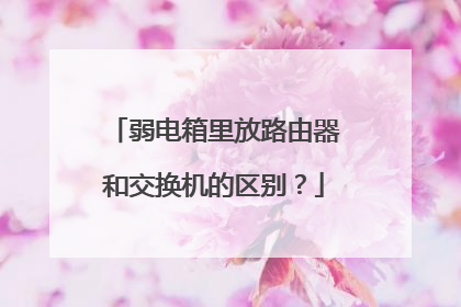 弱电箱里放路由器和交换机的区别？