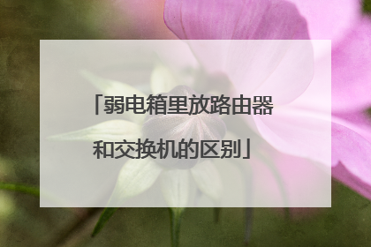 弱电箱里放路由器和交换机的区别