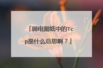 弱电图纸中的Tcp是什么意思啊？