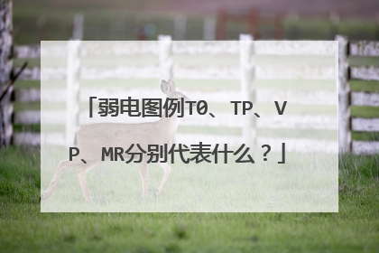弱电图例T0、TP、VP、MR分别代表什么?