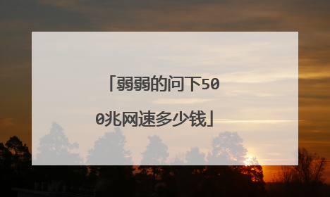 弱弱的问下500兆网速多少钱