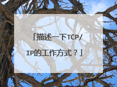 描述一下TCP/IP的工作方式?