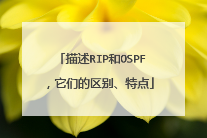 描述RIP和OSPF,它们的区别、特点