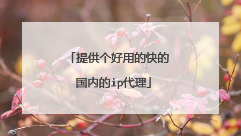提供个好用的快的国内的ip代理