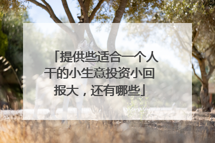 提供些适合一个人干的小生意投资小回报大,还有哪些