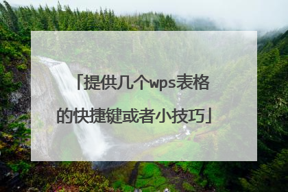 提供几个wps表格的快捷键或者小技巧