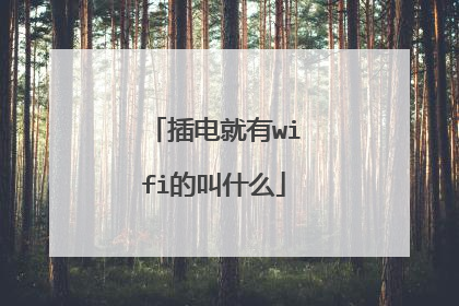 插电就有wifi的叫什么