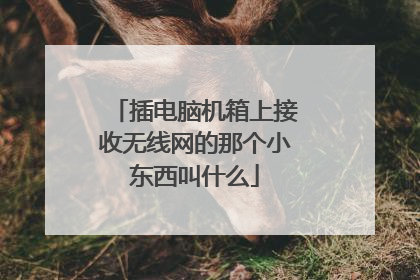 插电脑机箱上接收无线网的那个小东西叫什么