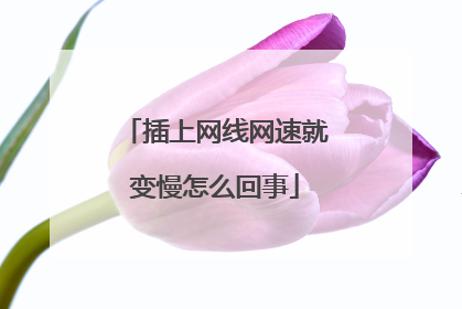 插上网线网速就变慢怎么回事