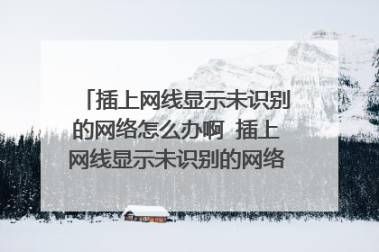 插上网线显示未识别的网络怎么办啊 插上网线显示未识别的网络解决方法介绍