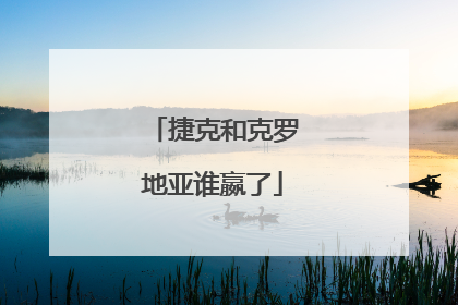 捷克和克罗地亚谁嬴了