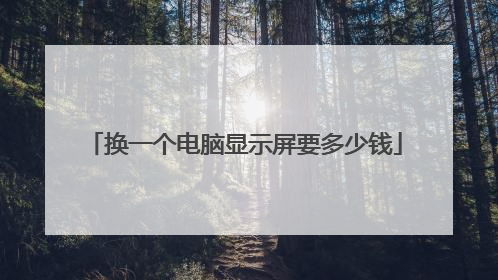 换一个电脑显示屏要多少钱