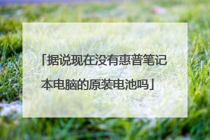 据说现在没有惠普笔记本电脑的原装电池吗