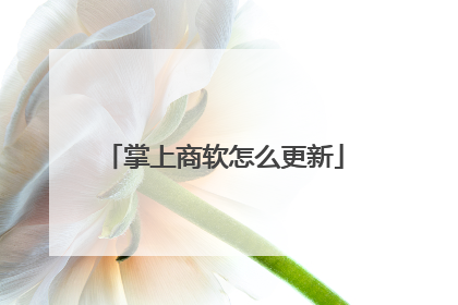 掌上商软怎么更新