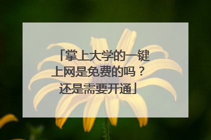 掌上大学的一键上网是免费的吗?还是需要开通