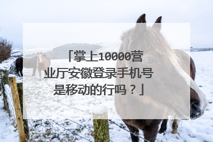 掌上10000营业厅安徽登录手机号是移动的行吗?
