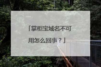 掌柜宝域名不可用怎么回事？
